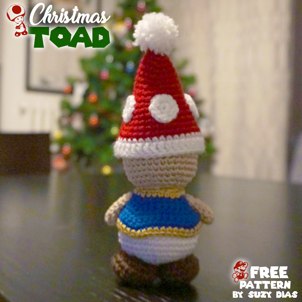 Toad Super Mario Bros with Christmas 
